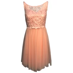 Dresses Boutique Cocktail Lace-dress -Jurken Verkoopwinkel Cocktaillace dress Blush 1